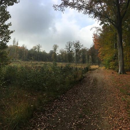 Villa Helena Linden Eksteriør billede
